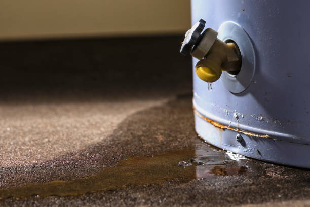 Best Local water damage restoration  in Lakemoor, IL