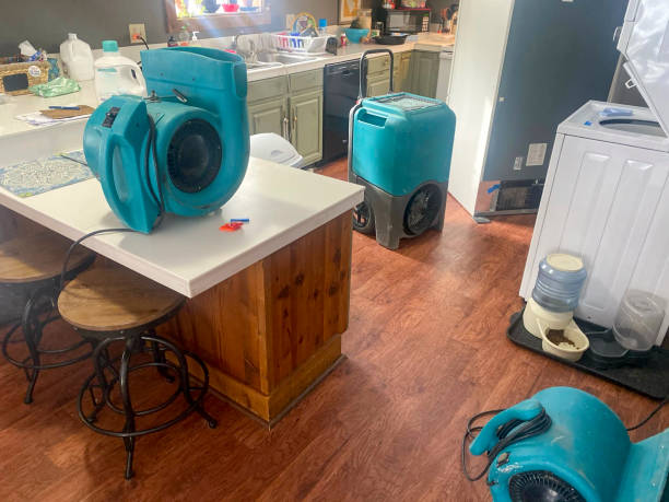 Best Sewage cleanup and water damage restoration  in Lakemoor, IL