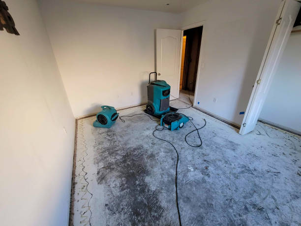 Best Basement water damage restoration  in Lakemoor, IL