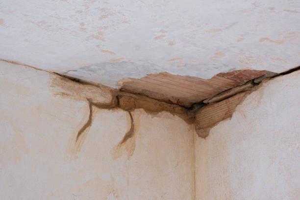 Trusted Lakemoor, IL Water damage restoration Experts