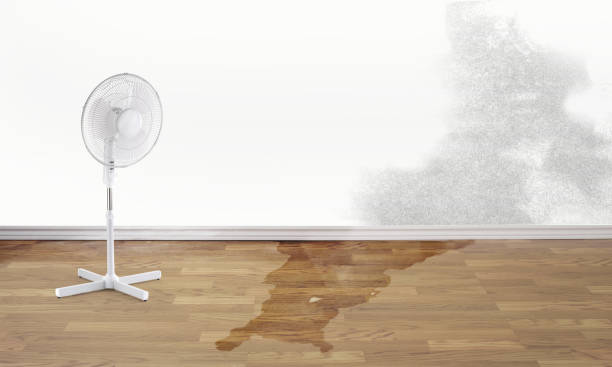 Best Flood damage cleanup  in Lakemoor, IL
