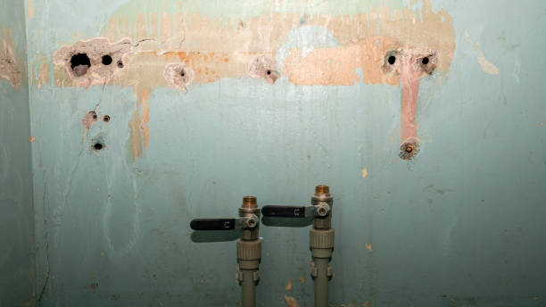 Sewage cleanup and water damage restoration in Lakemoor, IL