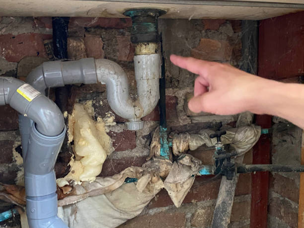 Best Water damage restoration near me  in Lakemoor, IL
