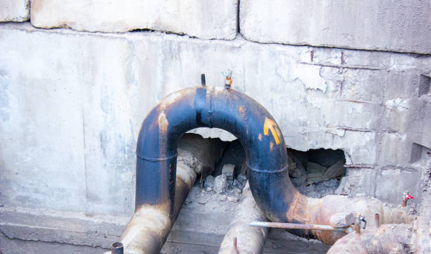 Best Water damage restoration mold remediation  in Lakemoor, IL